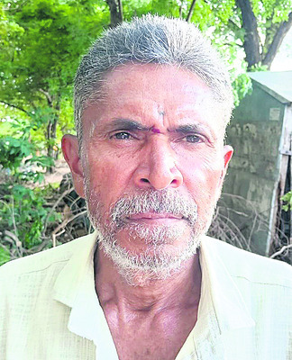 పత్తి కుళ్లిపోయింది
2