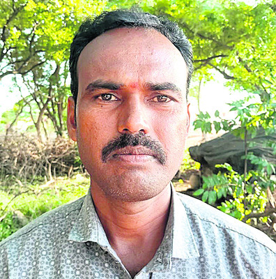 పత్తి కుళ్లిపోయింది
3