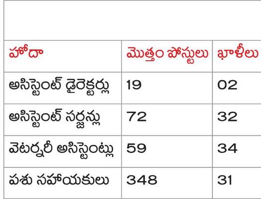 పశు వైద్యంపై నిర్లక్ష్యం2