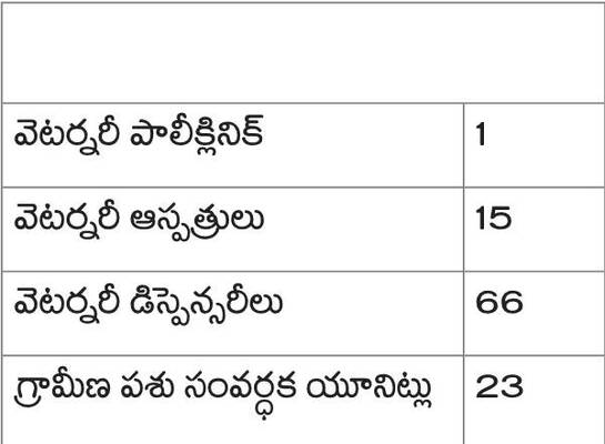 పశు వైద్యంపై నిర్లక్ష్యం3