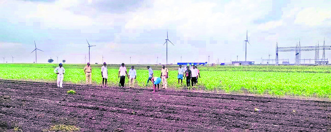పంట పొలాల్లో చిరుత సంచారం 1