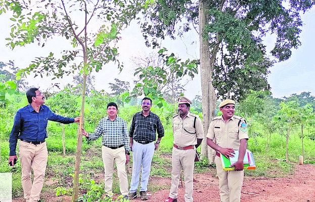 ఘనంగా రామయ్య కల్యాణం3