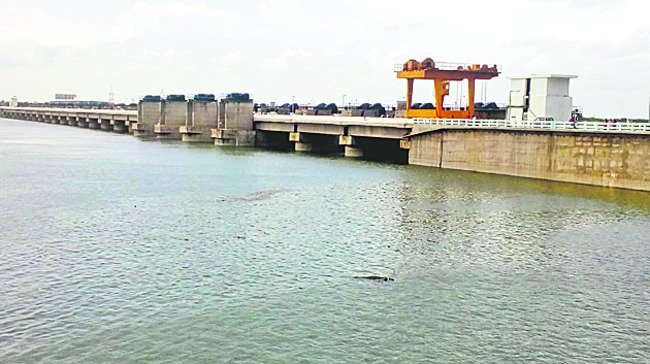 పలుపుతాడు2