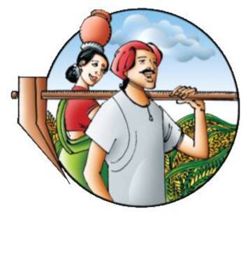 తక్షణ చర్యలతో అరటికి రక్షణ1