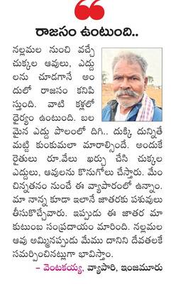 కురుమూర్తి సన్నిధిలో.. నల్లమలరాజాల సందడి 1