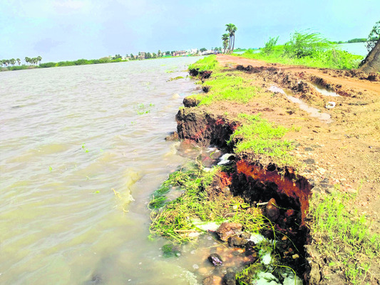 మోంథా పంజా1