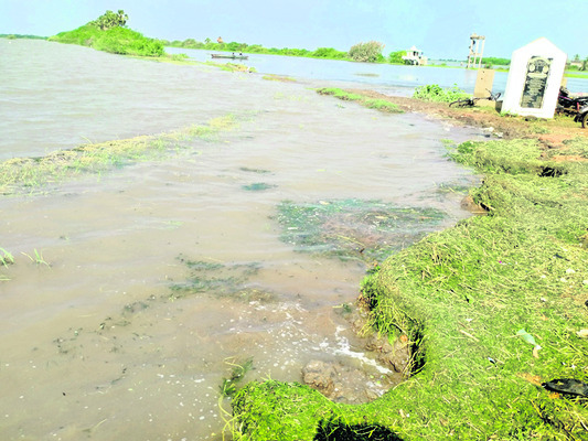 మోంథా పంజా2