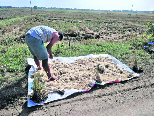 అయ్యో.. అన్నదాత 1