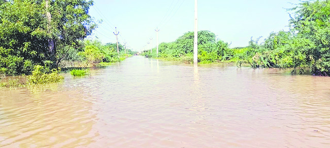 తుఫాన్‌ ప్రభావిత ప్రాంతాలను పరిశీలించిన కలెక్టర్‌ 1
