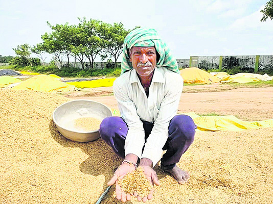 వడ్లు తడవాల్సిందేనా?!1