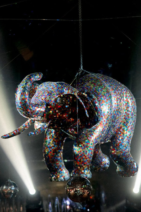 Varun Tej And Lavanya Tripathi Wedding Anniversary Special Photos9