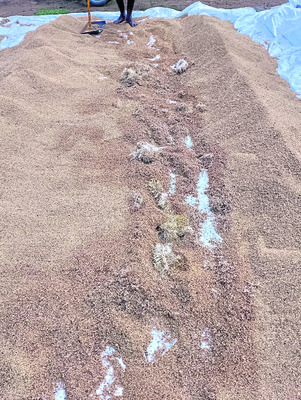 అయ్యో.. అన్నదాత 3