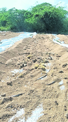 అయ్యో.. అన్నదాత 2