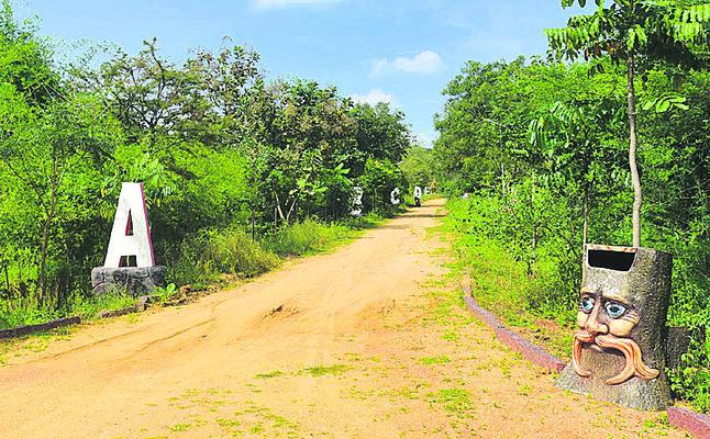 అడవి.. అందాల విడిది!3