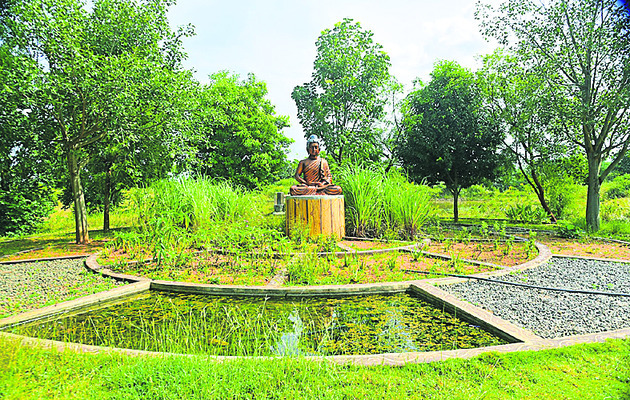 అడవి.. అందాల విడిది!5