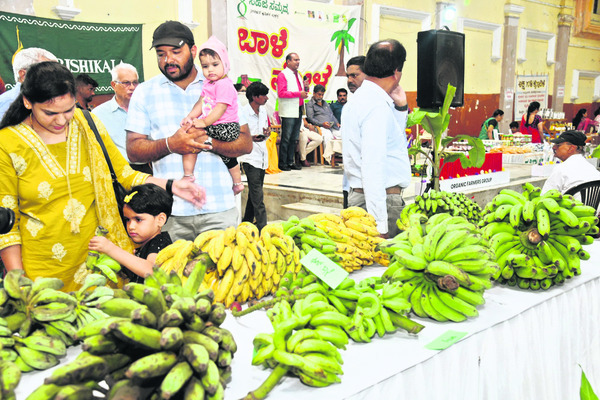 నోరూరించే అరటి మేళా 1