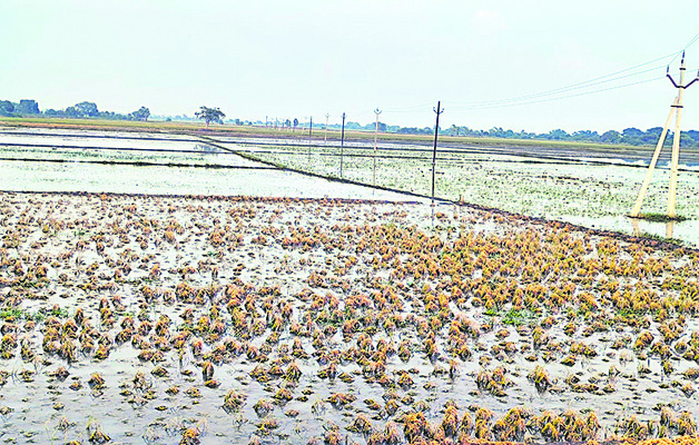 రైతులకు కూటమి పోటు! 
1