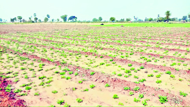 రుణ లక్ష్యం.. రూ.1200 కోట్లు 1
