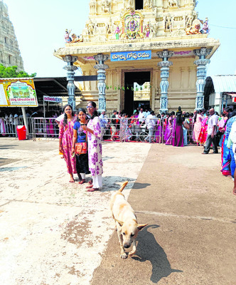 కుక్కలున్నాయ్‌.. జాగ్రత్త! 1