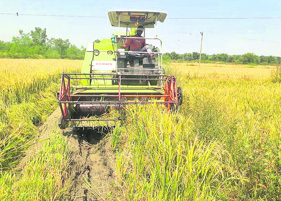 నిర్మల్‌1