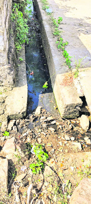 కంపుకొడుతున్న డ్రెయినేజీలు 
1