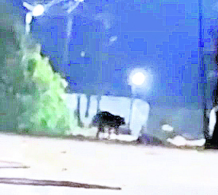 న్యాయ సేవలపై అవగాహన 1