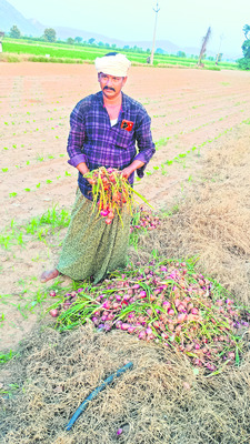 నష్టాల ఘాటు.. రైతుకు చేటు.! 2