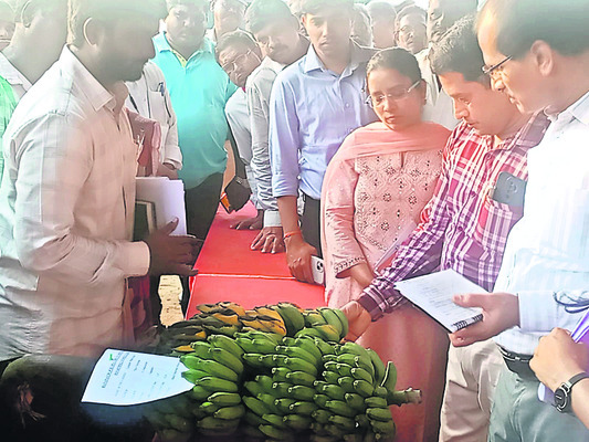 5,700 హెక్టార్లలో పంట నష్టం 1