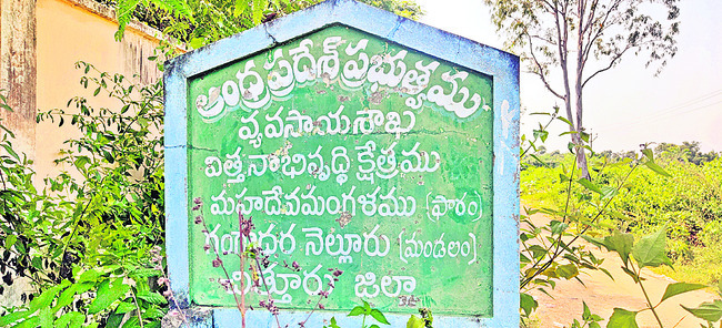 ●  ఇష్టారాజ్యం 
2