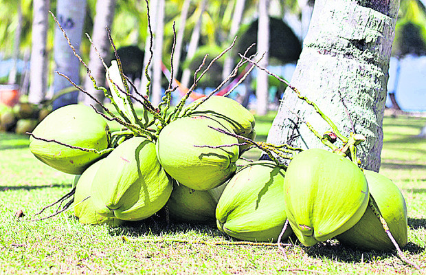 పాల్‌ ల్యాబ్స్‌తో అభ్యసనా సమర్థ్యాల పెరుగుదల 1