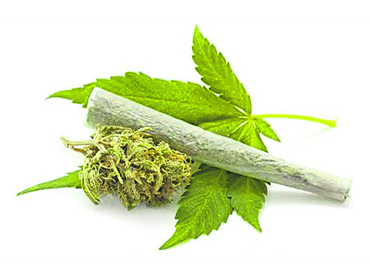 గల్లీ గల్లీలో గంజాయి 1