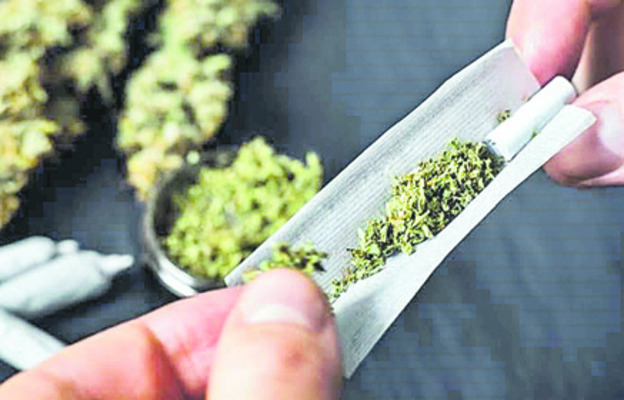 గల్లీ గల్లీలో గంజాయి 3