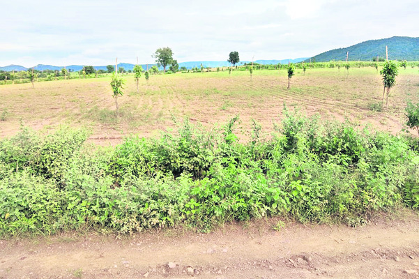 మళ్లీ పోడు రగడ.. 1