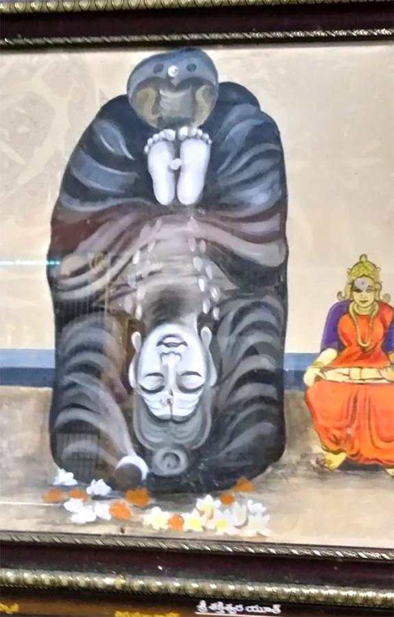 Devotional : Sri Shakteeswara Swamy Temple Yanamadurru Photos17