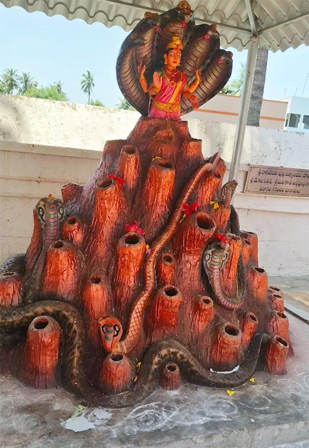 Devotional : Sri Shakteeswara Swamy Temple Yanamadurru Photos6