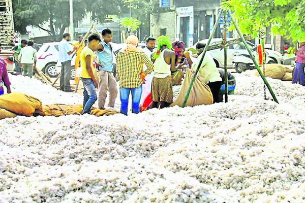 దళారుల దందా!1