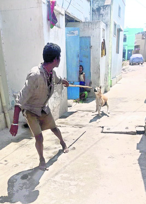 వీధి కుక్కల బెడద తీరేనా..? 1