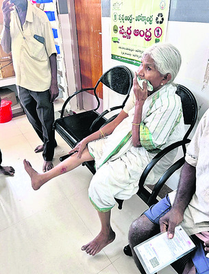 వడ్డాదిలో పిచ్చి కుక్క స్వైర విహారం 1