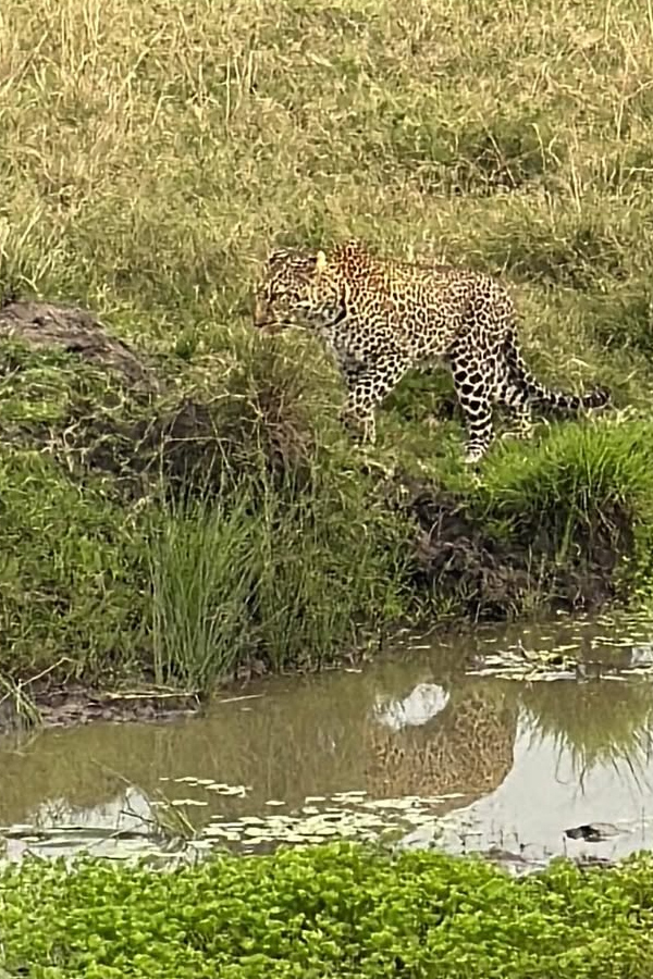 Anasuya Bhardwaj And Her Family Enjoying Vacation Photos14