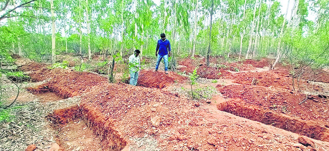 జల సంరక్షణలో నల్లగొండకు రెండో స్థానం1