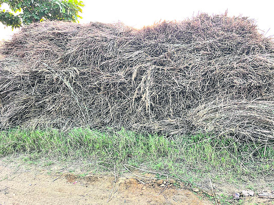 కోతలు భారం..! 1