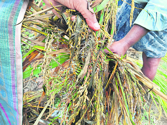 ఆగని కన్నీటి వరద 1