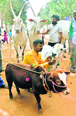 సేద్యం.. సుసాధ్యం3