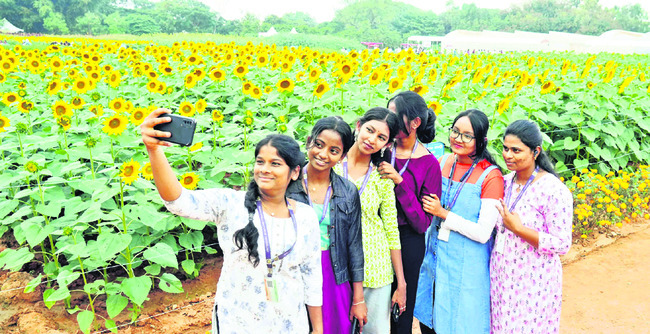 సేద్యం.. సుసాధ్యం5