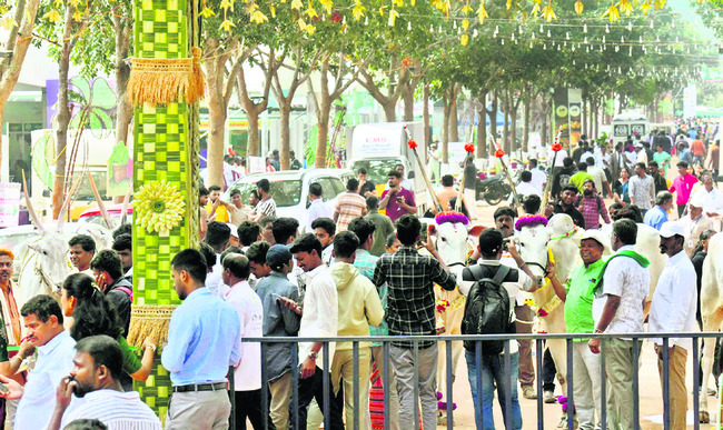 సేద్యం.. సుసాధ్యం1