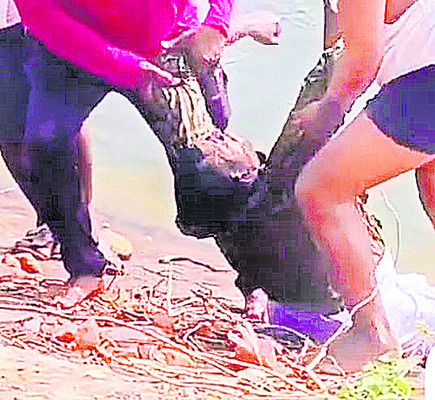 గుత్తికొండ కాలువలో పడి వ్యక్తి మృతి 1