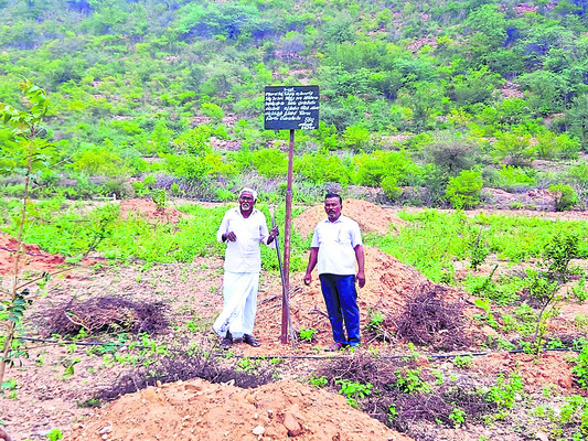 భూమి ఒకచోట.. సాగు మరోచోట! 2