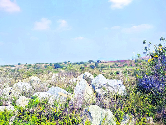 కరువు నేలలో ఖరీదైన లోహం 1