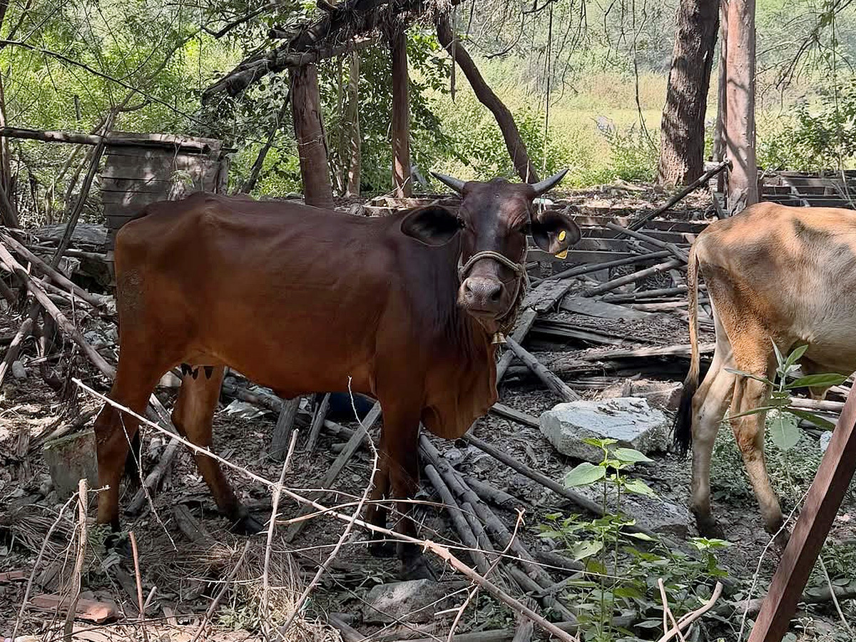 Actress Mrunal Thakur Dacoit Movie Memories Photos8