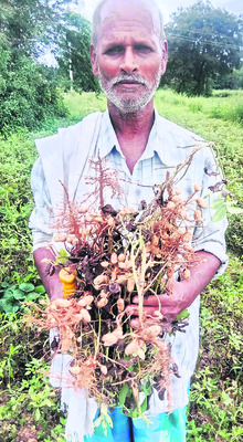 ప్రభుత్వం ఆదుకోవాలి 
1